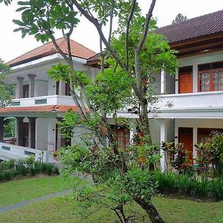 Argasoka Bungalows Ubud Dış mekan fotoğraf