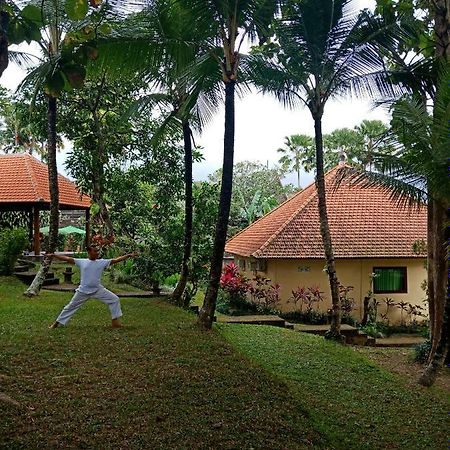 Argasoka Bungalows Ubud Dış mekan fotoğraf