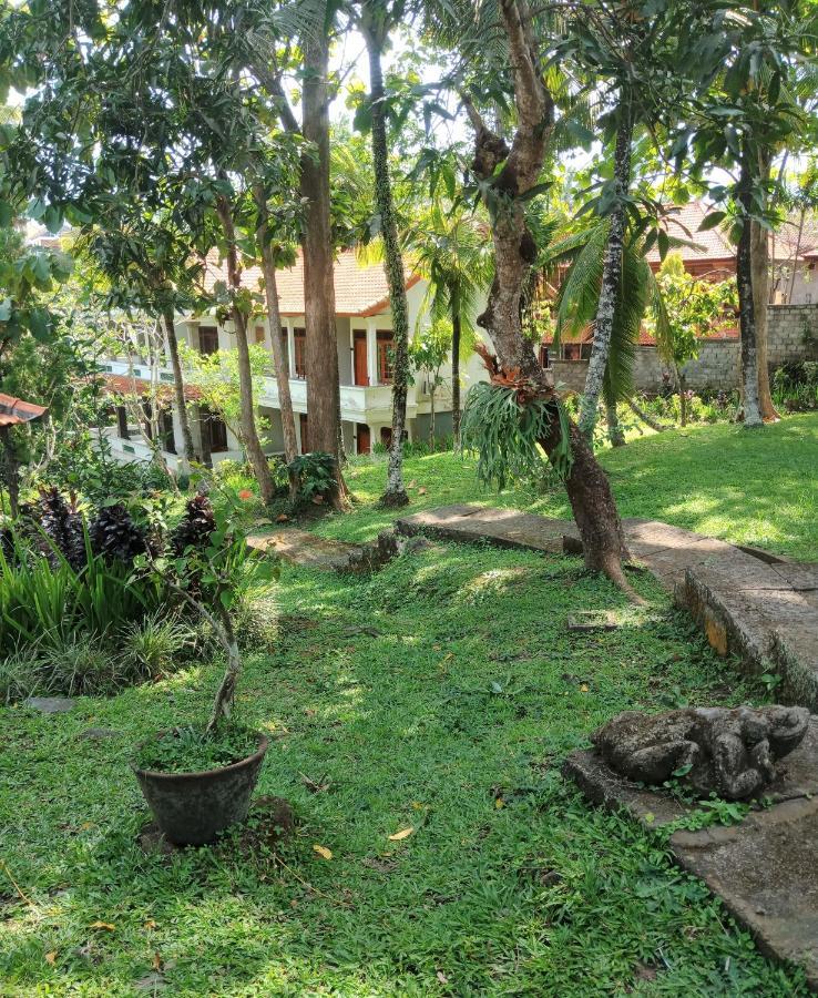 Argasoka Bungalows Ubud Dış mekan fotoğraf