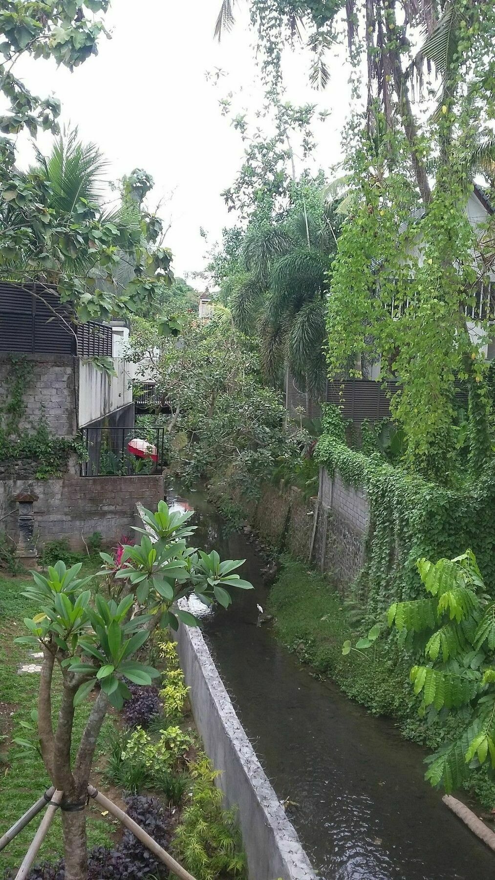 Argasoka Bungalows Ubud Dış mekan fotoğraf